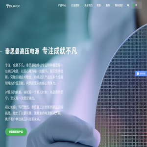 泰思曼高压电源