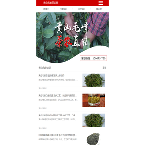 黄山毛峰茶农网