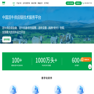 找牛牛