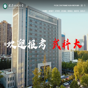 武汉科技大学