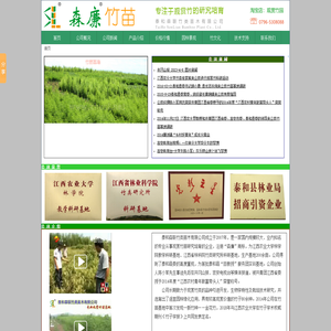森廉竹苗,专注于观赏竹培育,泰和森联竹类苗木有限公司