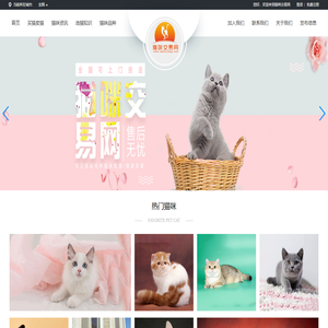 宠物猫