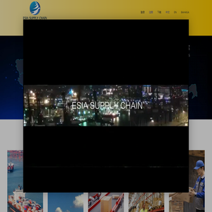丰迅航空服务(深圳)有限公司