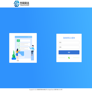 智网网络