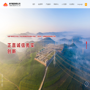 泰开集团有限公司