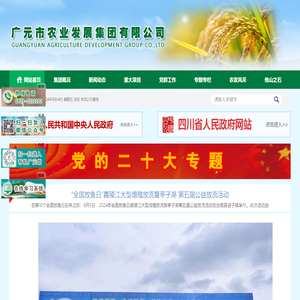 广元市农业发展集团有限公司