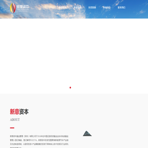 新意资本