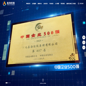 河北鑫海控股集团有限公司