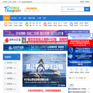 凤台小鱼网