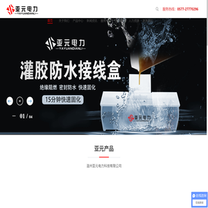 温州亚元电力科技有限公司