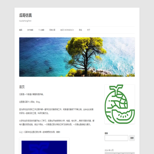瓜哥仿真
