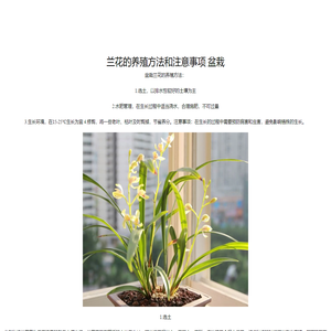 老玩家应用商店