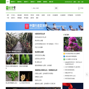 植物号