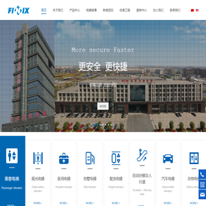 菲尼克斯电梯有限公司