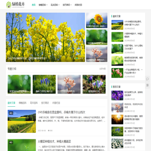 常见绿植花卉如何种植,植物百科,花卉寓意