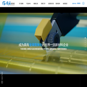 安徽国风新材料股份有限公司