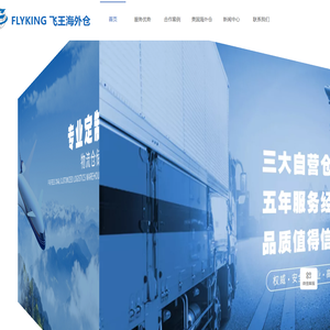 FLYKING飞王海外仓