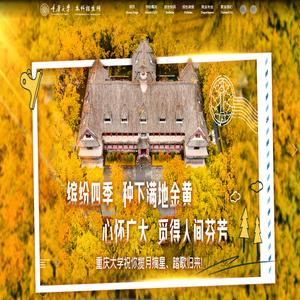 重庆大学本科招生网（测试版）