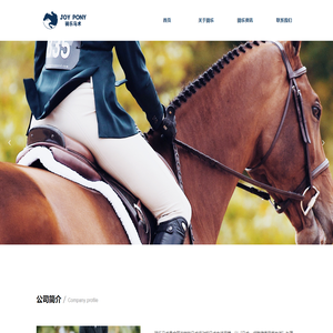 广州骑乐马文化产业发展有限公司