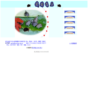 龙头阁欢迎您