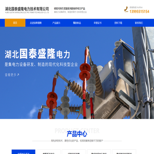 湖北国泰盛隆电力技术有限公司