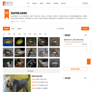 爱宠网您身边养宠指导网