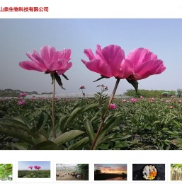 南京山泉生物科技有限公司