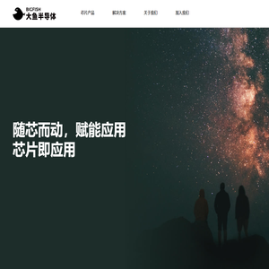 大鱼半导体