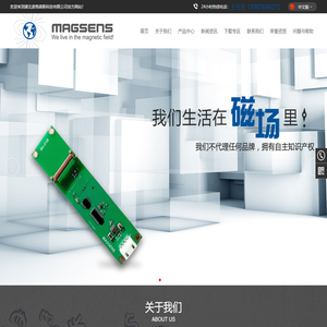 湖北麦格森斯科技有限公司