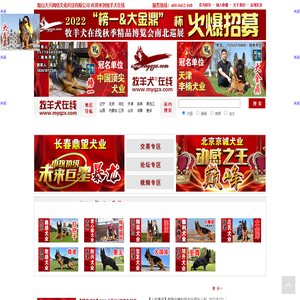 鞍山天兵网络文化科技有限公司