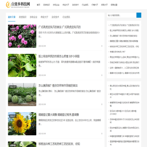 白果乡科技网
