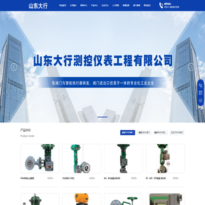 山东大行测控仪表工程有限公司