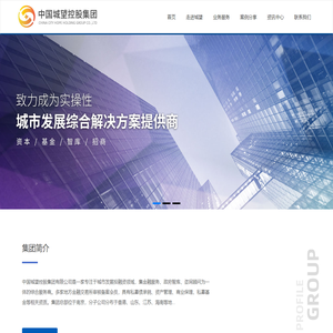 中国城望控股集团【官网】