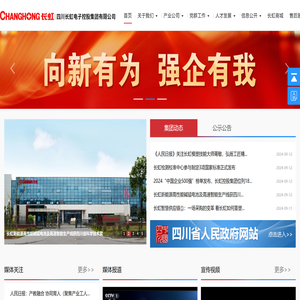 四川长虹电子控股集团有限公司