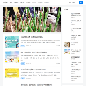 天麻,天麻网,天麻种植,天麻吃法,天麻技术,天麻的功效与作用