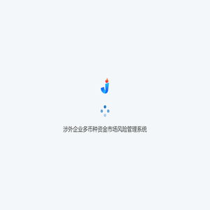 涉外企业多币种资金市场风险管理系统