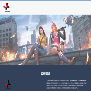 上海君亮网络有限公司