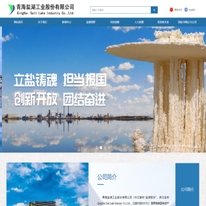 青海盐湖工业股份有限公司