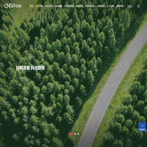 中伟新材料股份有限公司