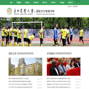 国际文化教育学院