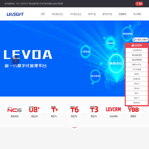 LEVCRM