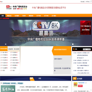 中国电视网