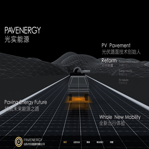 山东光实能源有限公司