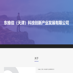东维信
