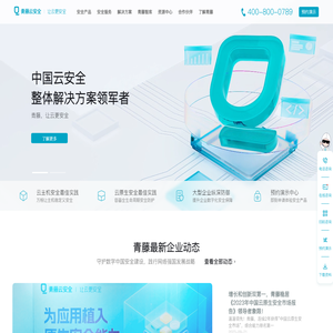 青藤云安全