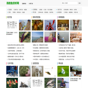 鹦鹉鱼赏析网