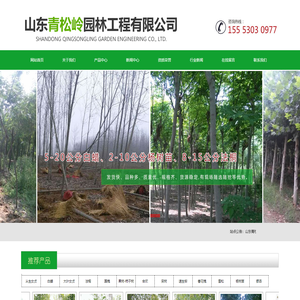 山东青松岭园林工程有限公司,从生女贞,白蜡,法桐
