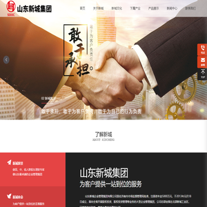 山东新城集团