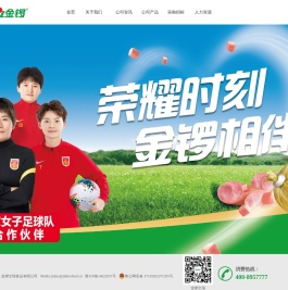 金锣文瑞食品有限公司