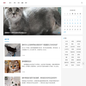 百宝猫